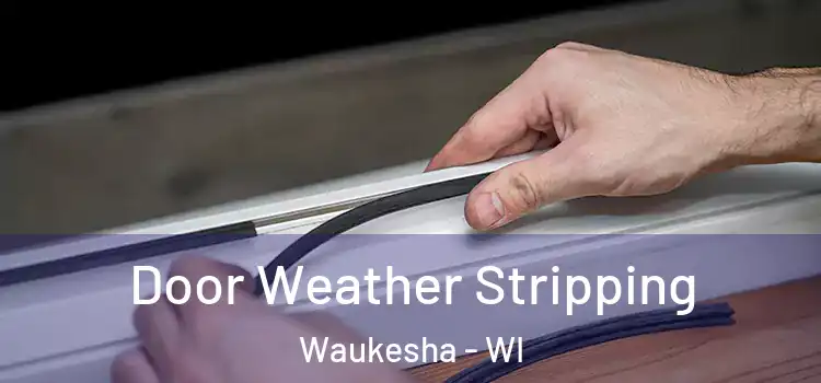  Door Weather Stripping Waukesha - WI