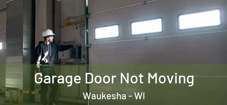  Garage Door Not Moving Waukesha - WI