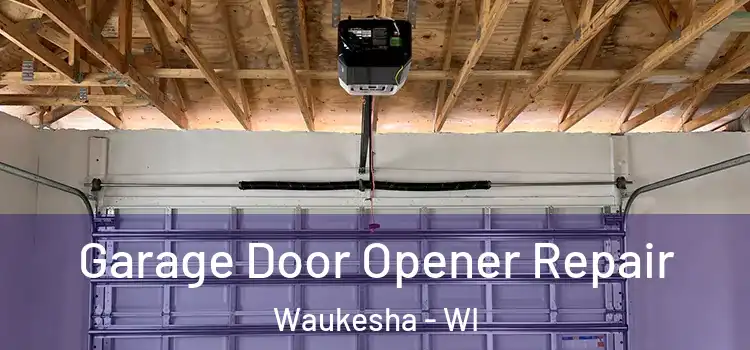  Garage Door Opener Repair Waukesha - WI