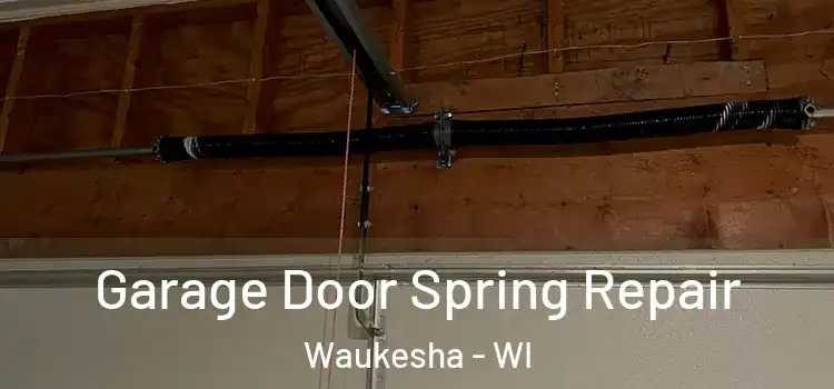  Garage Door Spring Repair Waukesha - WI