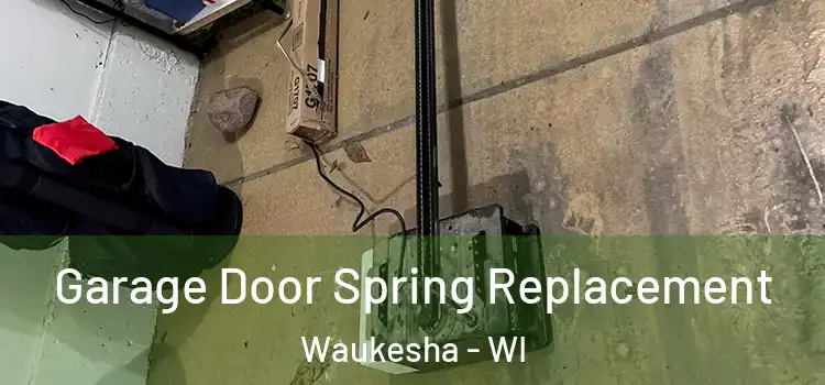 Garage Door Spring Replacement Waukesha - WI