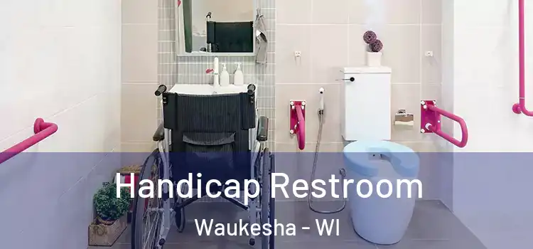  Handicap Restroom Waukesha - WI