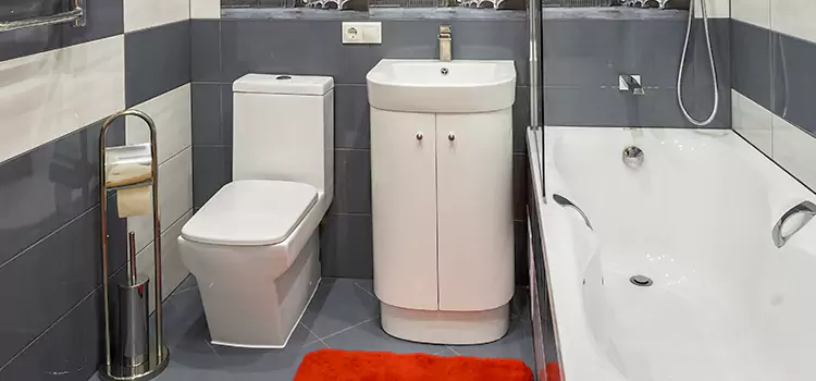Hansgrohe Shaving Mirror Waukesha
