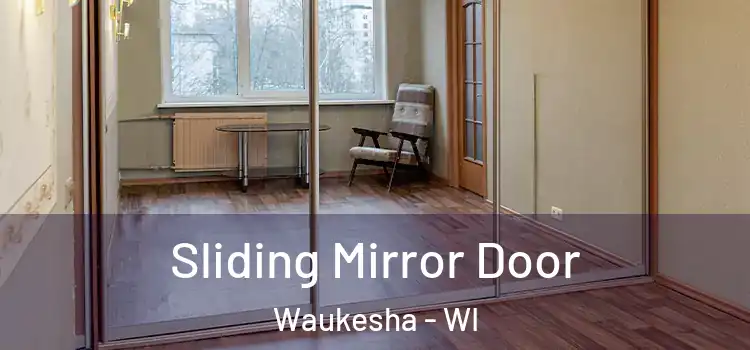  Sliding Mirror Door Waukesha - WI